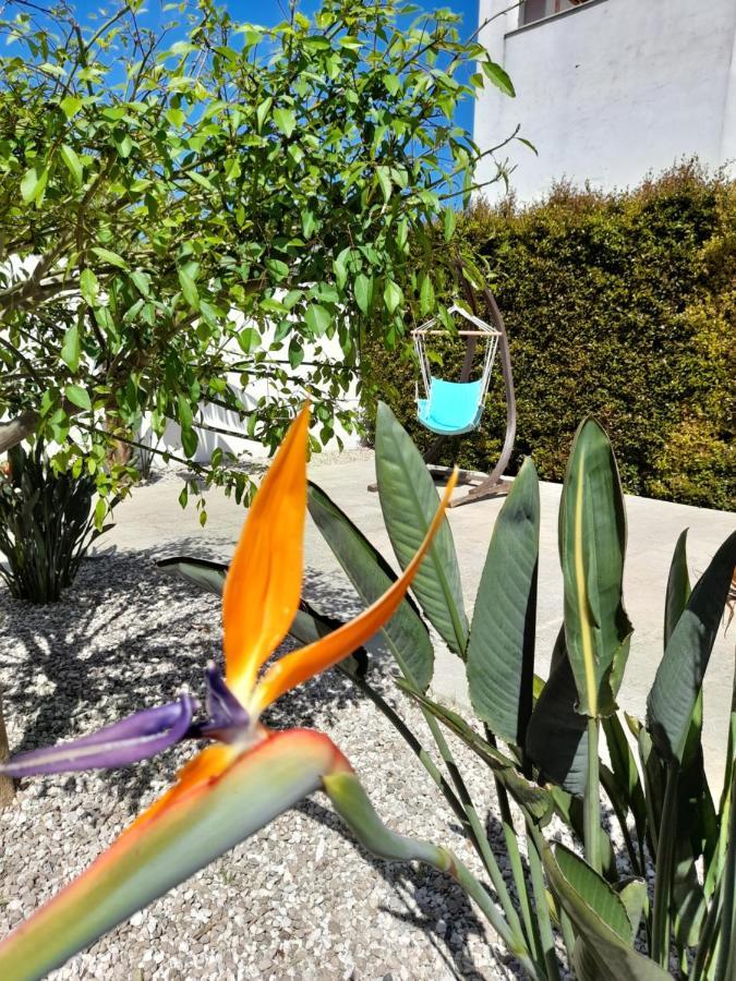 Il Giardino Di Flora Con Piscina Hotel Lecce Kültér fotó